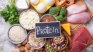 Proteína: ¿qué es y por qué es importante? | Cezenca